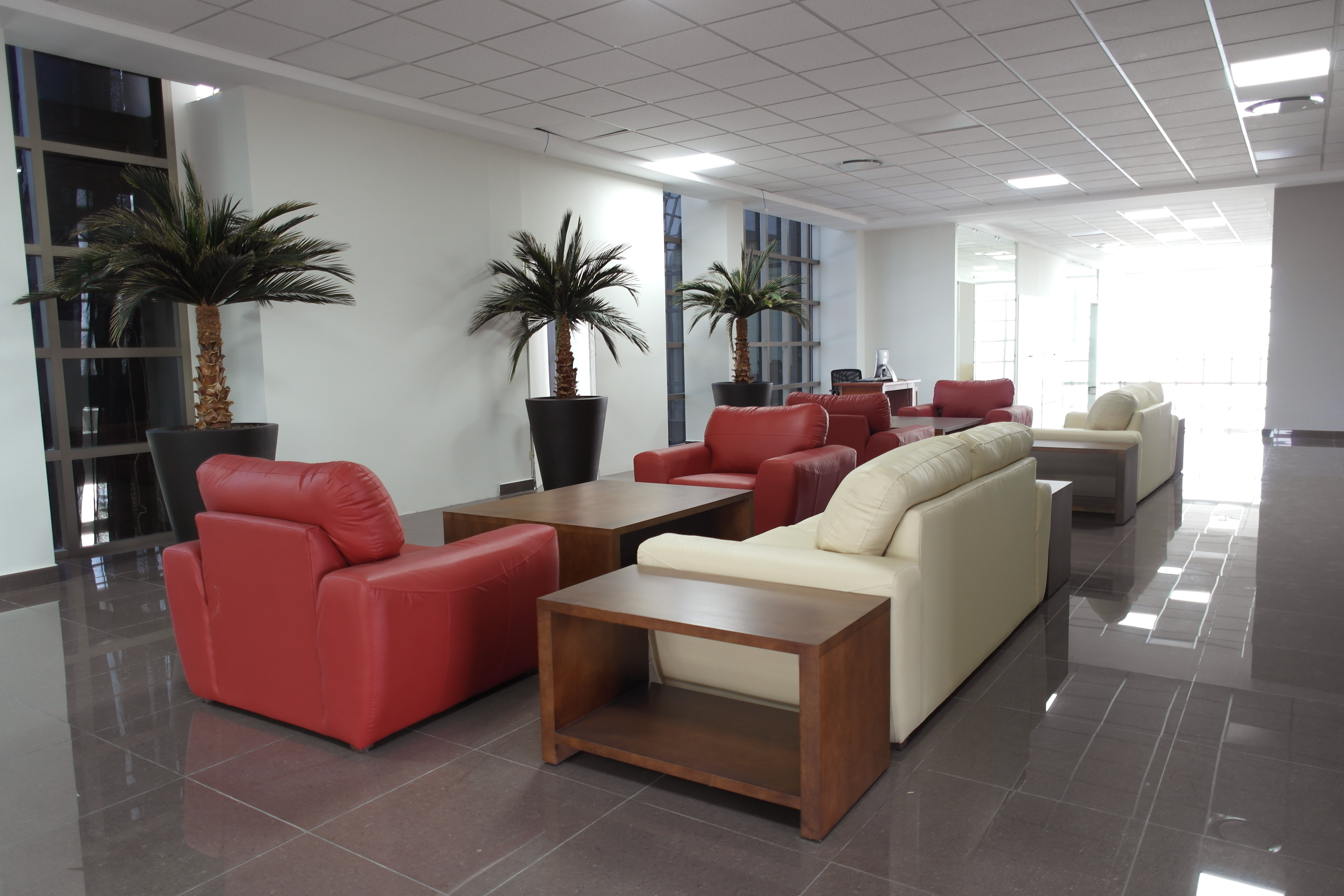 DFN-la-casa-dei-limoni-BRUNELLESCHI-ESSENTIAL-PREVIEW