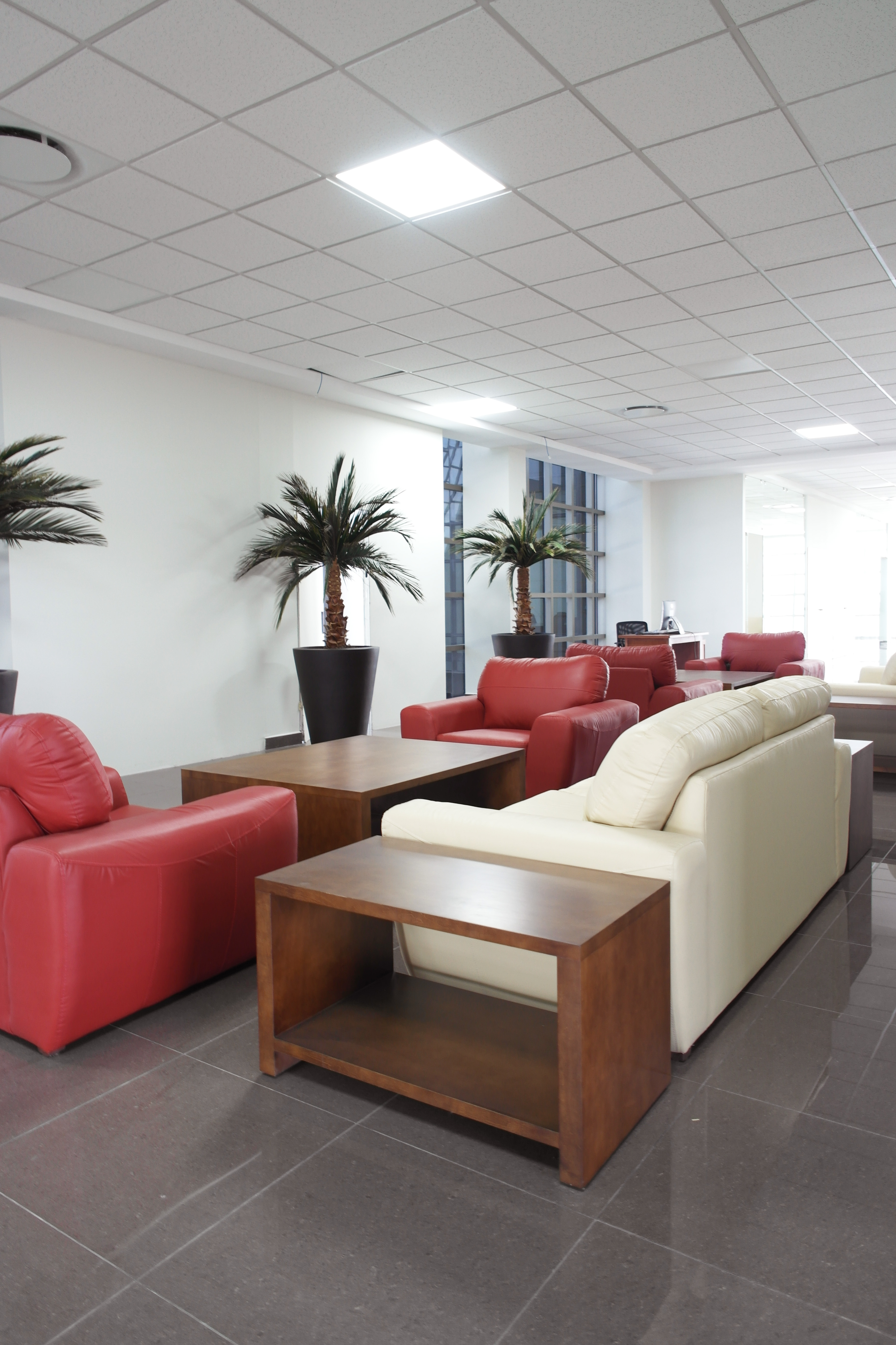 DFN-la-casa-dei-limoni-BRUNELLESCHI-ESSENTIAL-PREVIEW