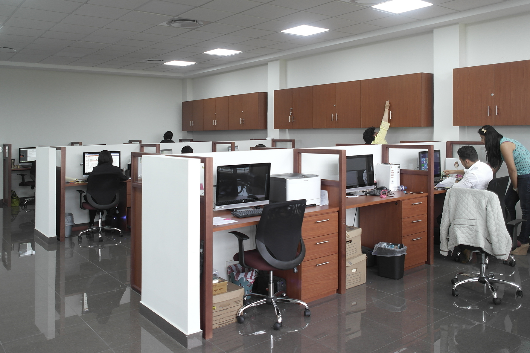 DFN-la-casa-dei-limoni-BRUNELLESCHI-ESSENTIAL-PREVIEW