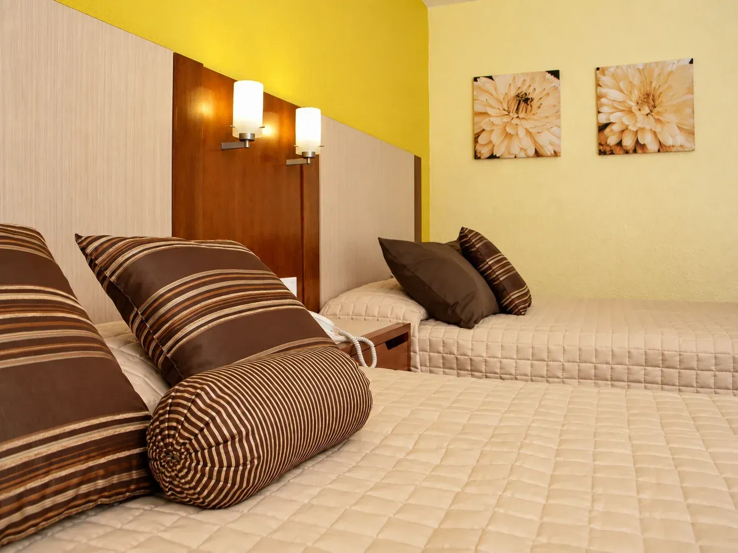 Bases de cama