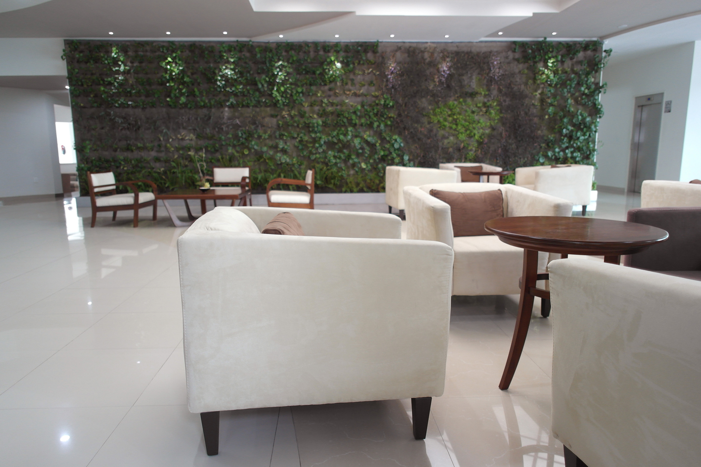 DFN-la-casa-dei-limoni-BRUNELLESCHI-ESSENTIAL-PREVIEW